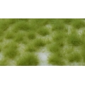 Ciuffi altezza 5 mm